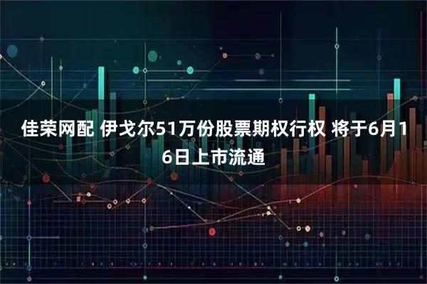 佳荣网配 伊戈尔51万份股票期权行权 将于6月16日上市流通